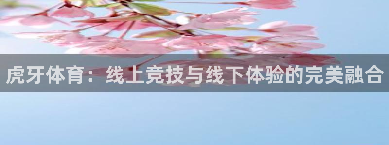 88看球直播：虎牙体育：线上竞技与线下体验的完美融合