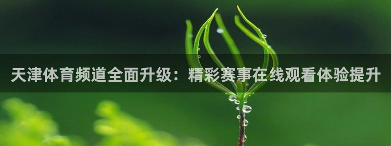 88看球免费直播：天津体育频道全面升级：精彩赛事在线观看体验提升