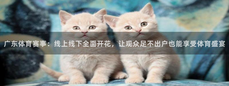 88看球网nba在线直播观看：广东体育赛事：线上线下全面开花，让观众足不出户也能享受体育盛宴