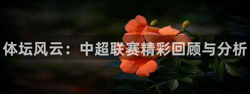 88看球免费直播回放：体坛风云：中超联赛精彩回顾与分析