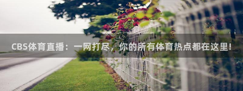 88看球吧直播nba：CBS体育直播：一网打尽，你的所有体育热点都在这里!