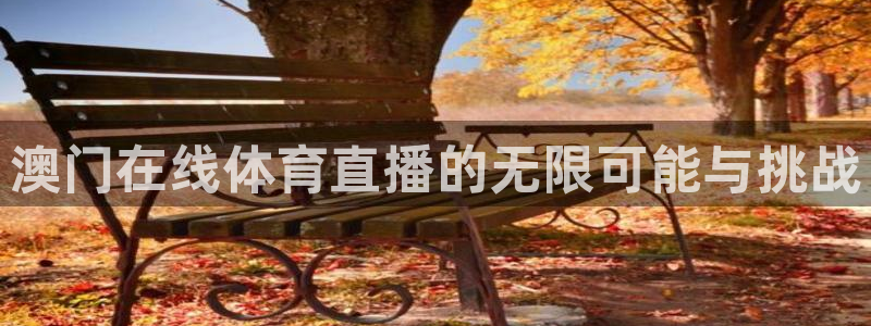 足球直播_篮球直播_免费在线看 | 88看球：澳门在线体育直播的无限可能与挑战