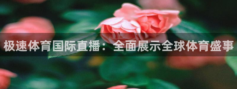 888看球nba直播免费：极速体育国际直播：全面展示全球体育盛事