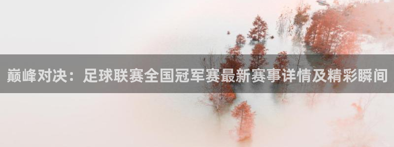 88看球吧直播：巅峰对决：足球联赛全国冠军赛最新赛事详情及精彩瞬间